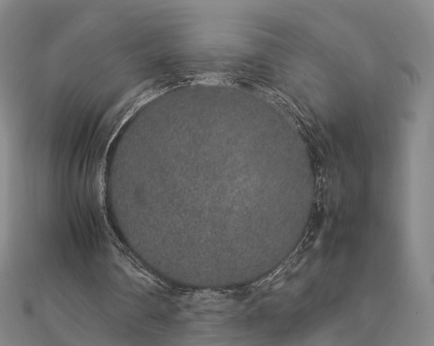 X0000113010290200909031319