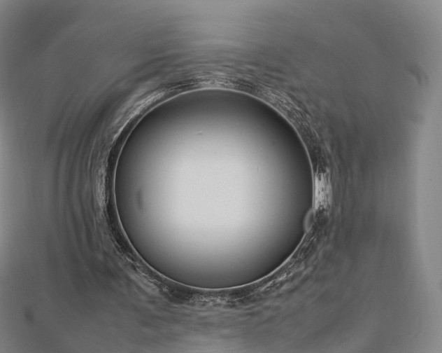 X0000113010291200909031319