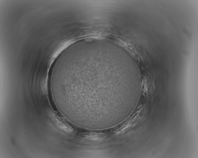 X0000113010292200909031319