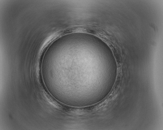 X0000113010293200909031319