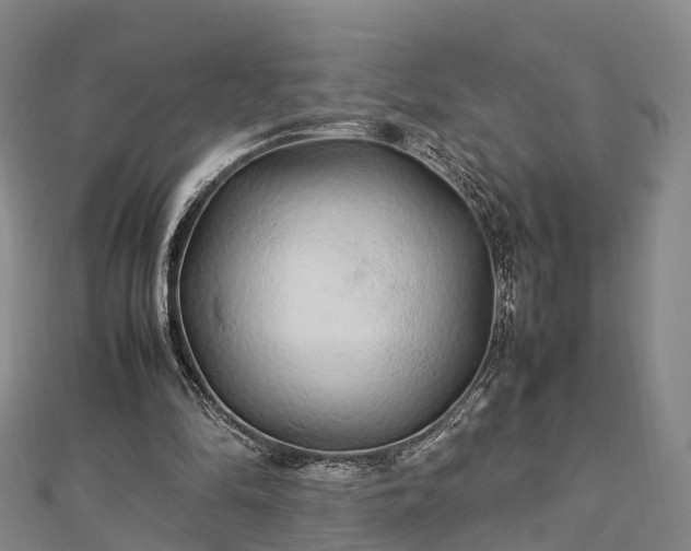 X0000113010294200909031319