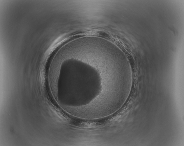 X0000113010295200909031319