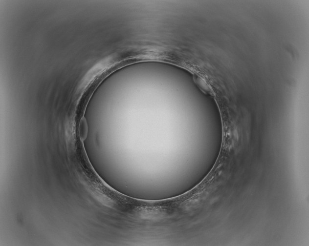 X0000113010296200909031319