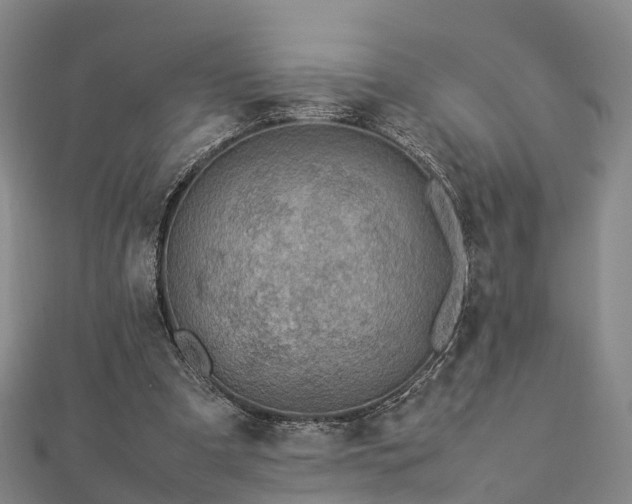 X0000113010297200909031319