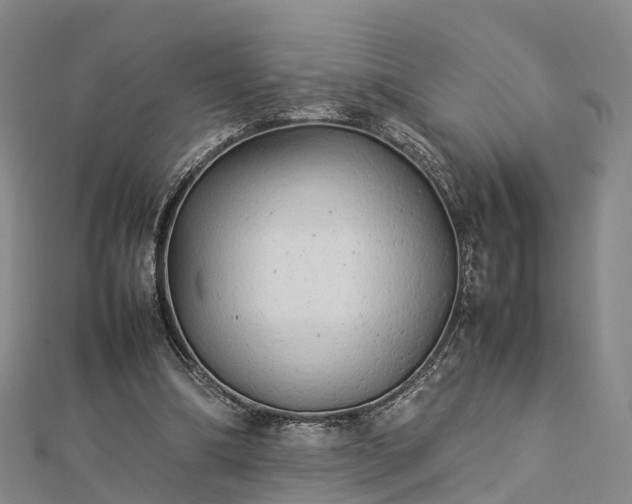 X0000113010298200909031319