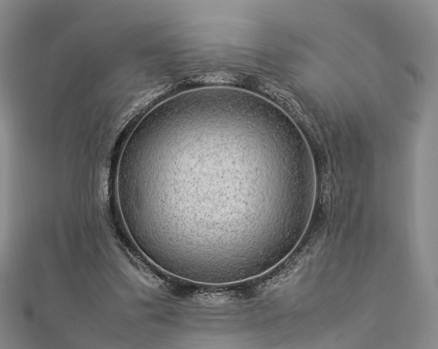 X0000113010299200909031319