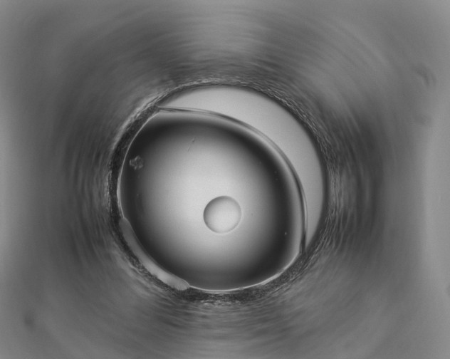 X0000113010300200909031319