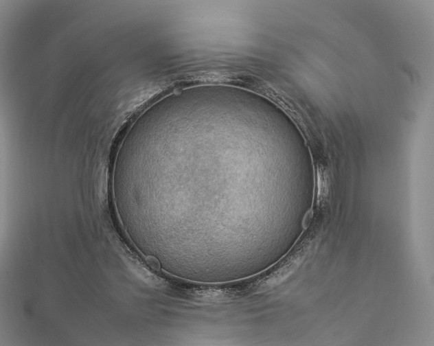 X0000113010301200909031319