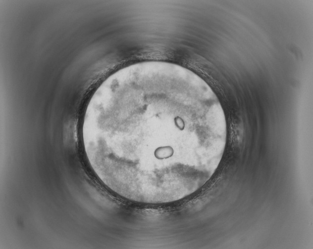 X0000113010302200909031319