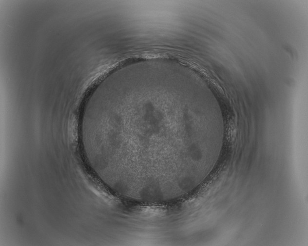 X0000113010303200909031319