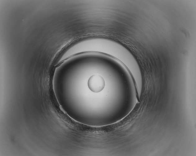 X0000113010304200909031319