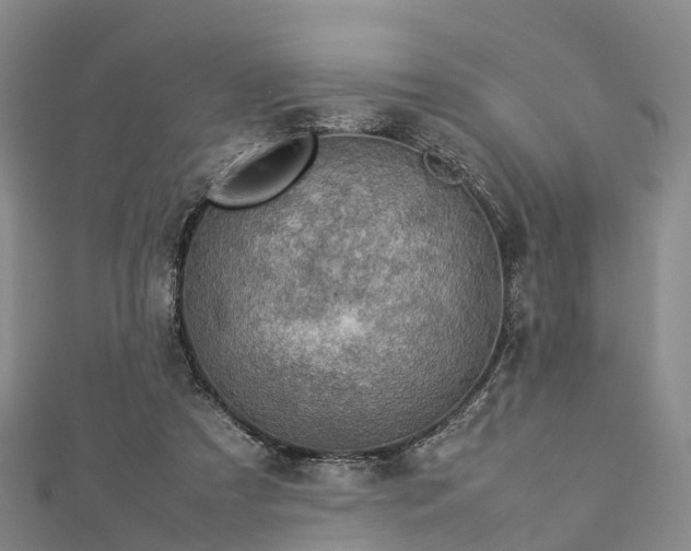 X0000113010305200909031319