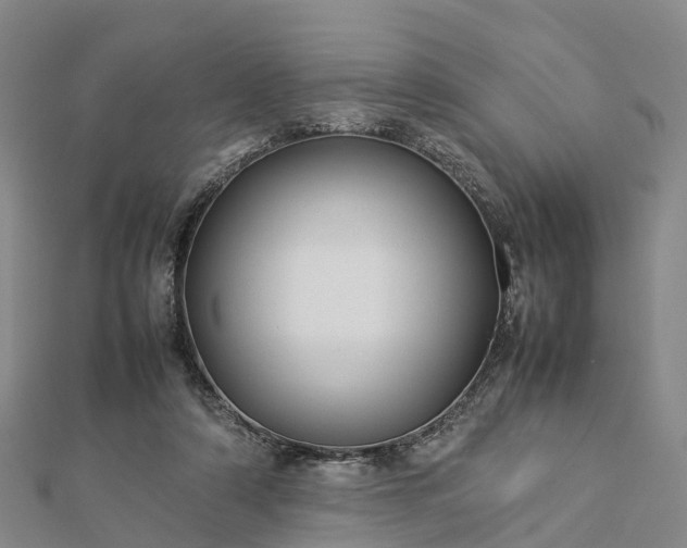 X0000113010306200909031319