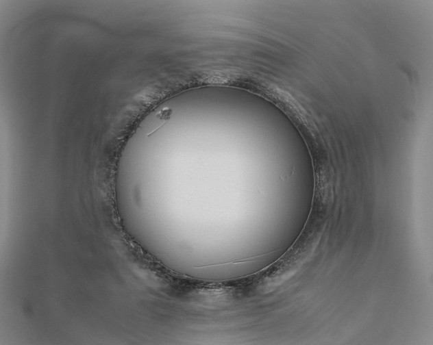 X0000113010307200909031319