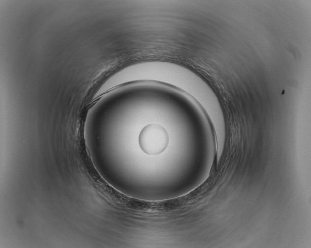 X0000113010308200909031319