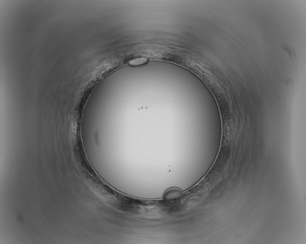 X0000113010309200909031319