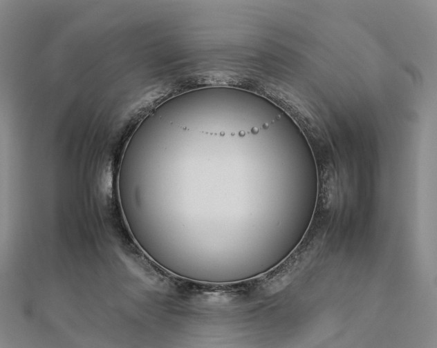 X0000113010310200909031319