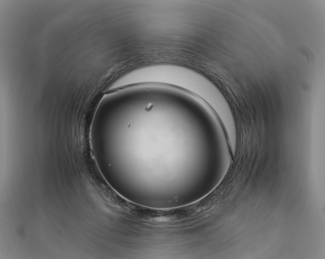 X0000113010312200909031319