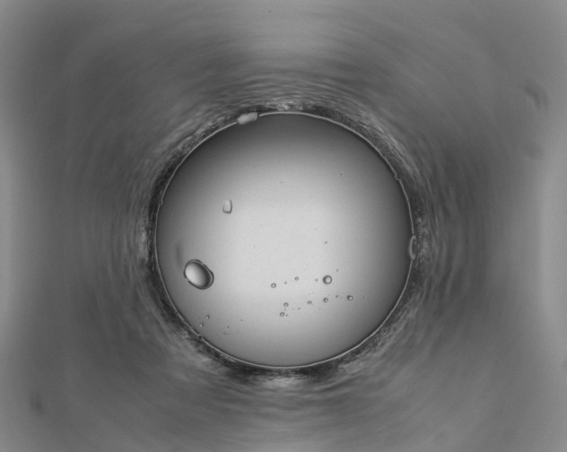 X0000113010313200909031319