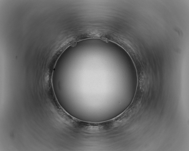 X0000113010314200909031319