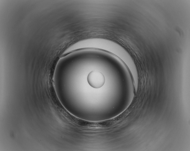 X0000113010316200909031319