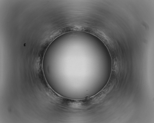 X0000113010318200909031319