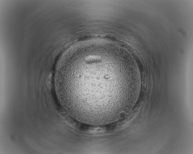 X0000113010319200909031319