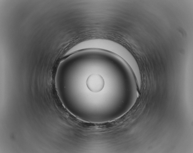 X0000113010320200909031319