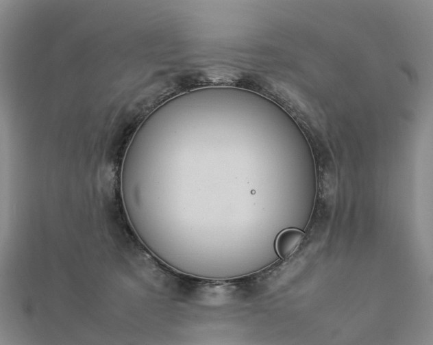 X0000113010321200909031319