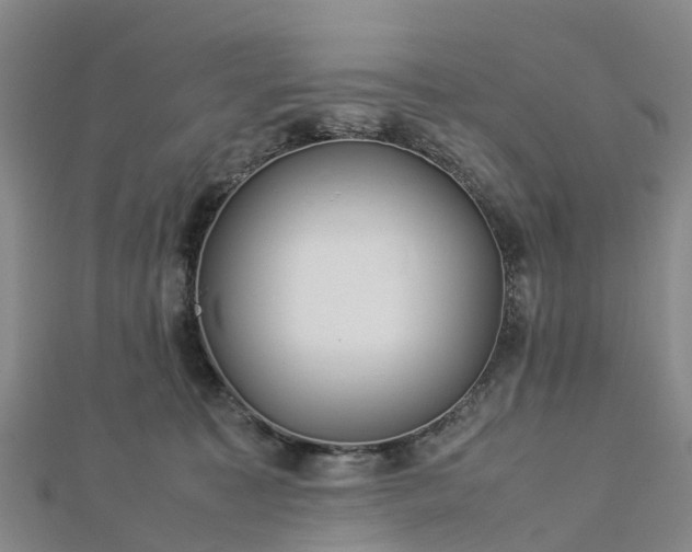 X0000113010323200909031319