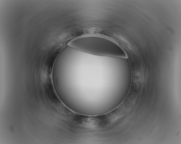 X0000113010324200909031319