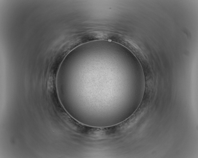 X0000113010325200909031319