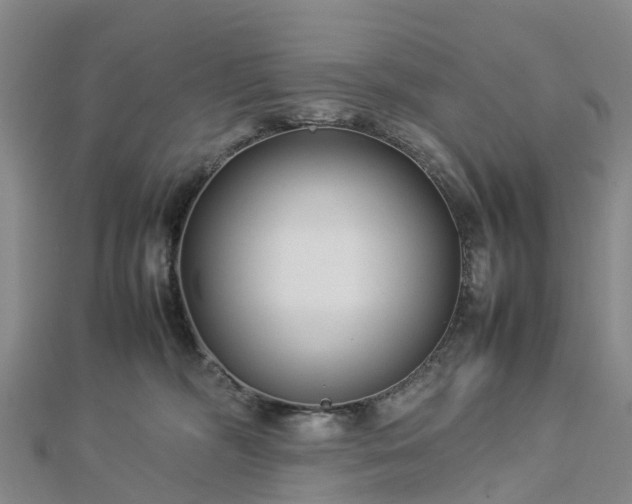 X0000113010326200909031319