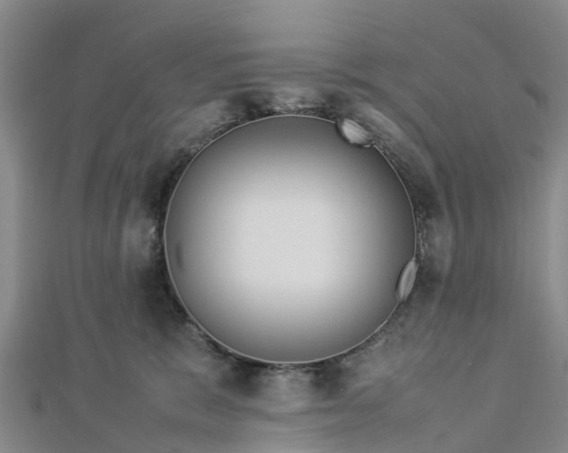 X0000113010327200909031319