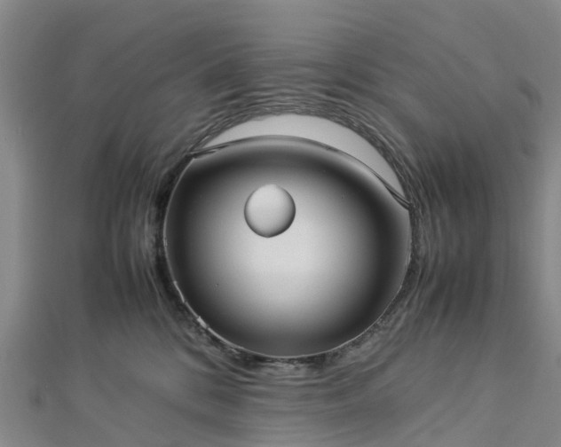 X0000113010328200909031319