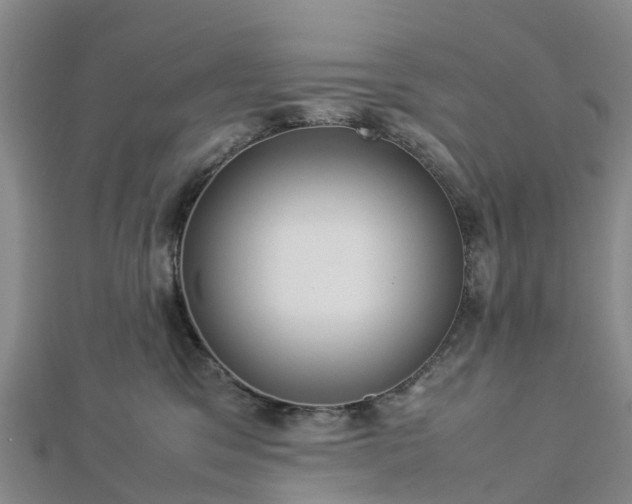 X0000113010329200909031319