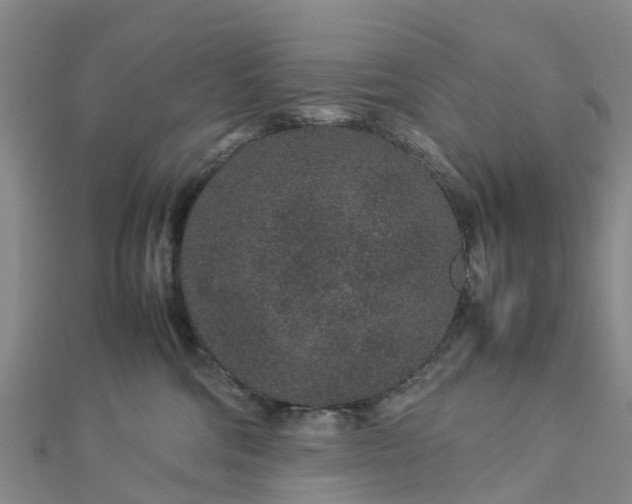 X0000113010330200909031319