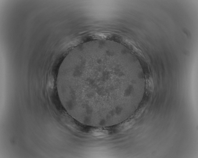 X0000113010331200909031319