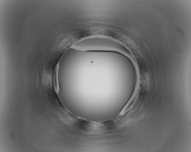 X0000113010333200909031319