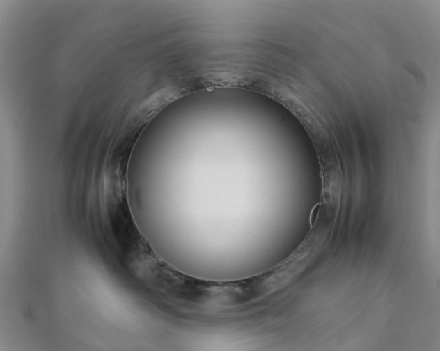 X0000113010334200909031319