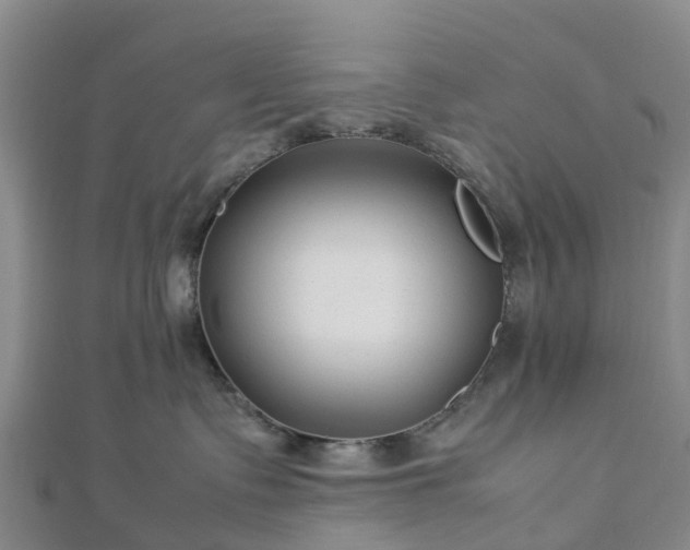 X0000113010335200909031319