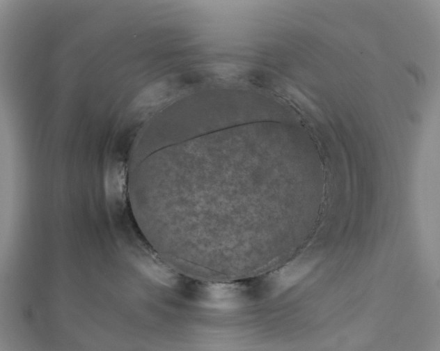 X0000113010336200909031319