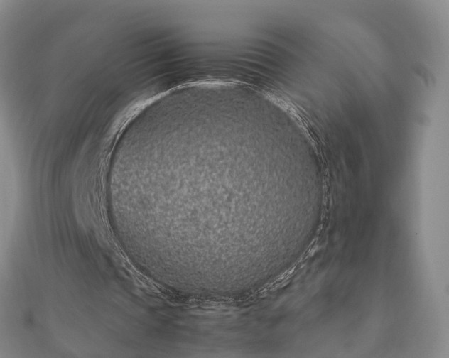 X0000113010337200909031318