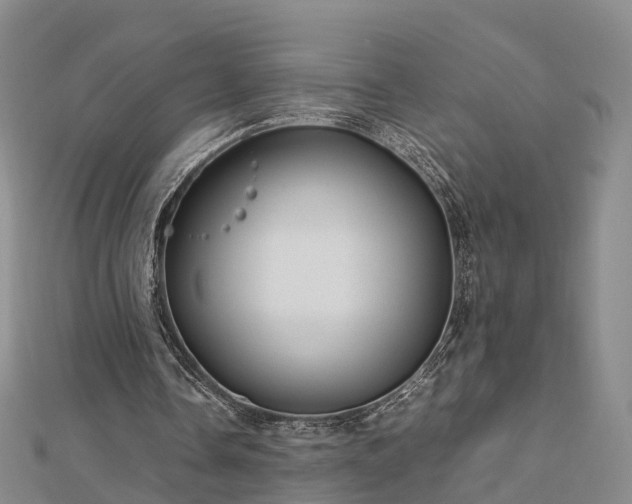 X0000113010338200909031318