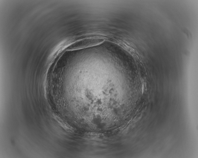 X0000113010339200909031318