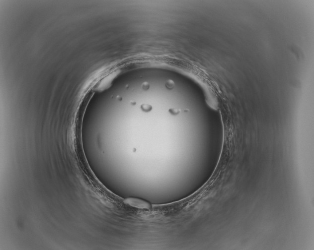 X0000113010340200909031318