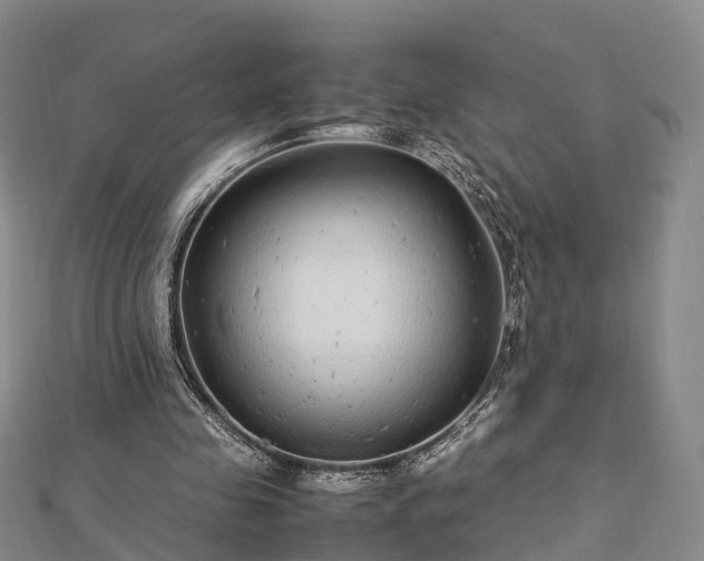 X0000113010341200909031318