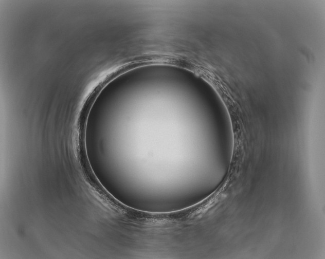 X0000113010342200909031318