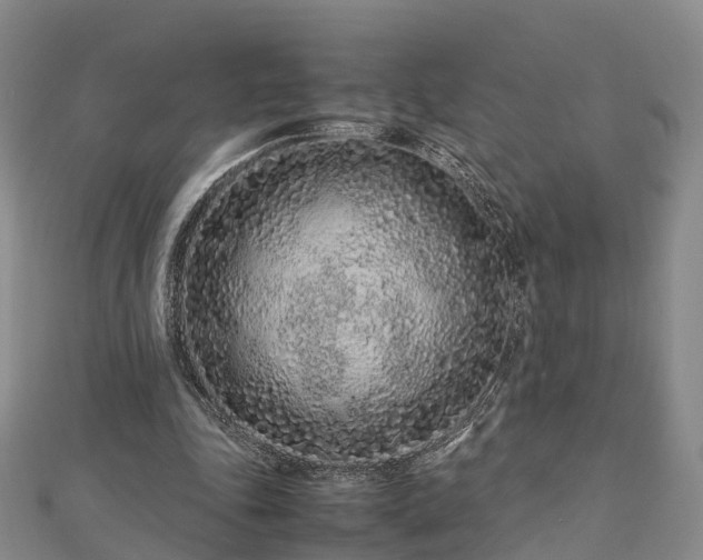 X0000113010343200909031318