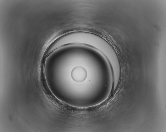 X0000113010344200909031318